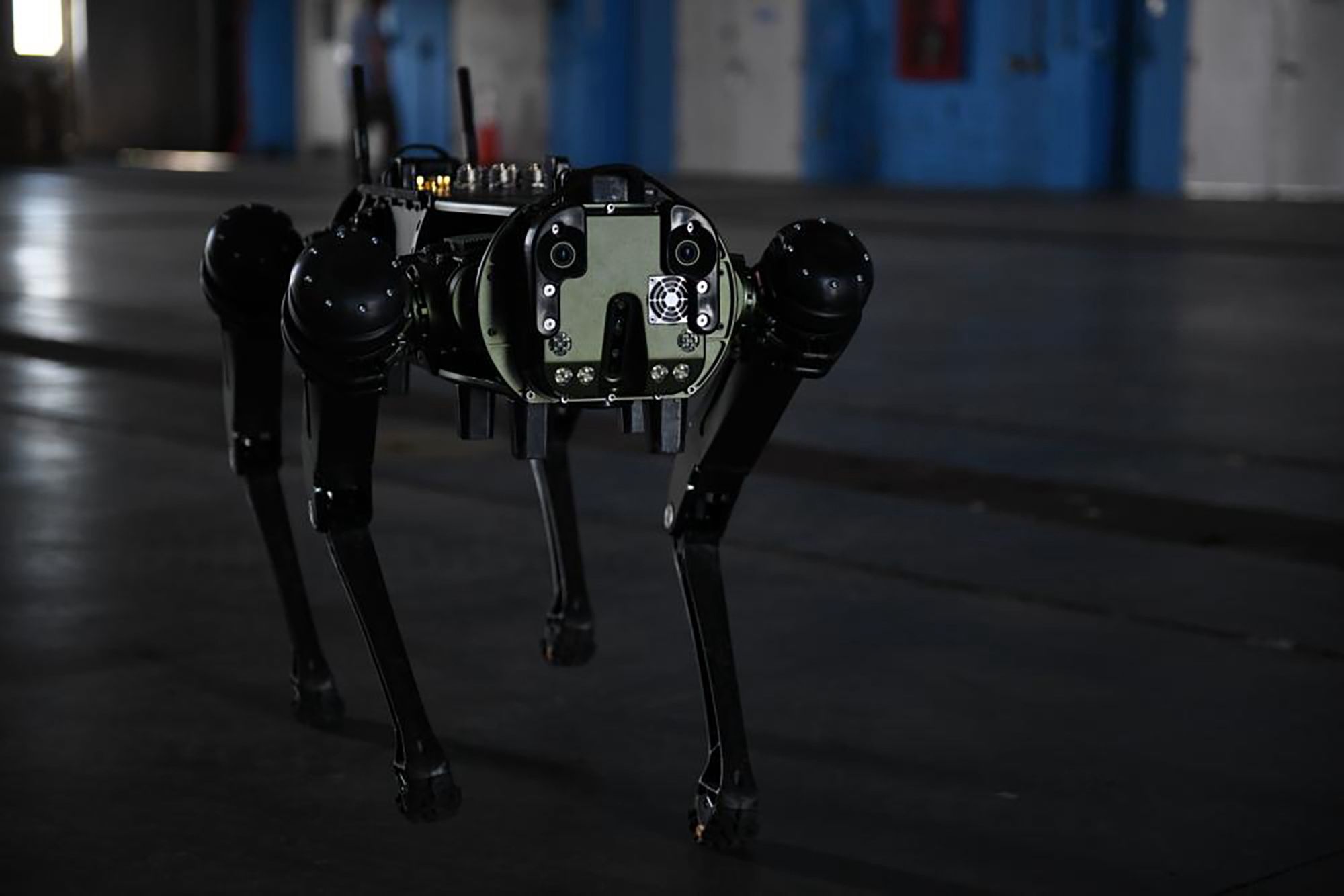 Q-UGV w kolorze oliwkowym. Druga wersja jest cała czarna.