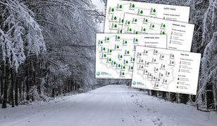 Taka będzie wiosna. Synoptycy IMGW pokazali mapy, są prognozy