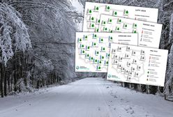 Taka będzie wiosna. Synoptycy IMGW pokazali mapy, są prognozy