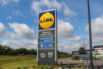 W Lidlu 8 piw w cenie 4. Co zrobić, aby skorzystać z promocji?