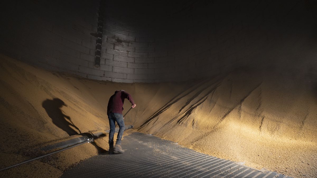 Słowacy czasowo zakazują importu zboża z Ukrainy 