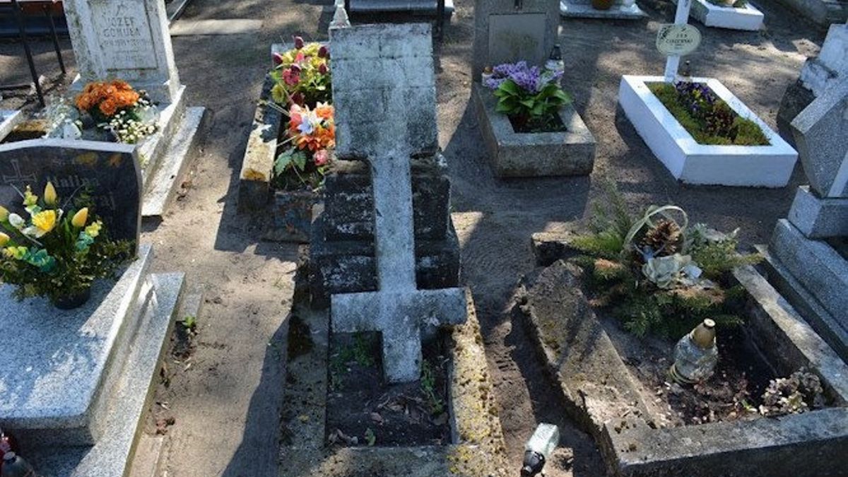 Zdjęcie ilustracyjne. 