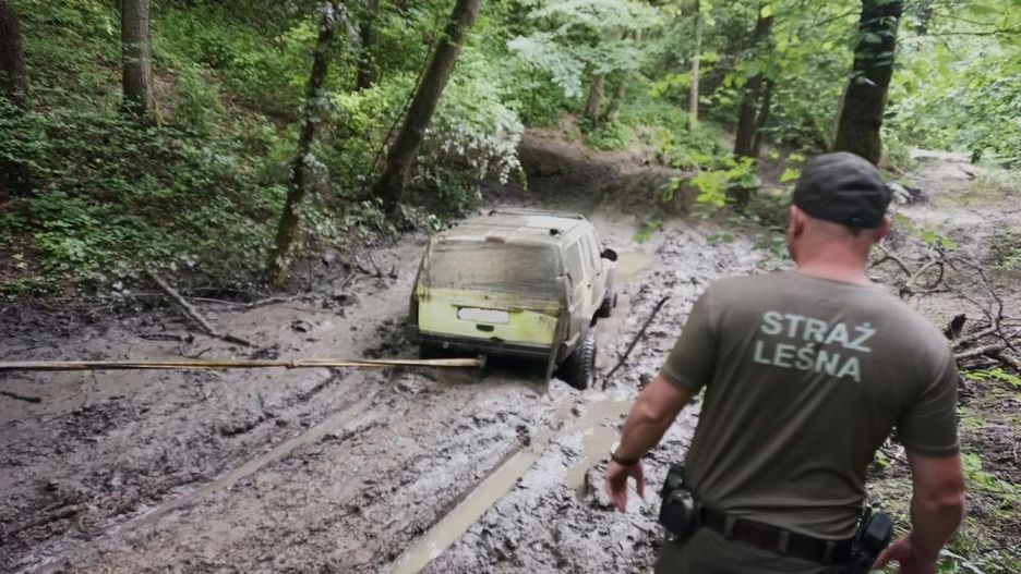 Miłośnicy off-roadu rozjeżdżali cenne przyrodniczo wąwozy