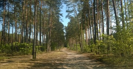 Polski Bus - wylęgarnia zarazków na kółkach, czy komfortowy i tani środek transportu?