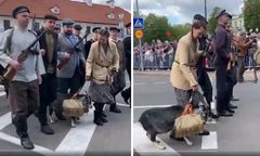 Koza zbuntowała się na paradzie wojskowej w Białorusi. "Sabotażystka"