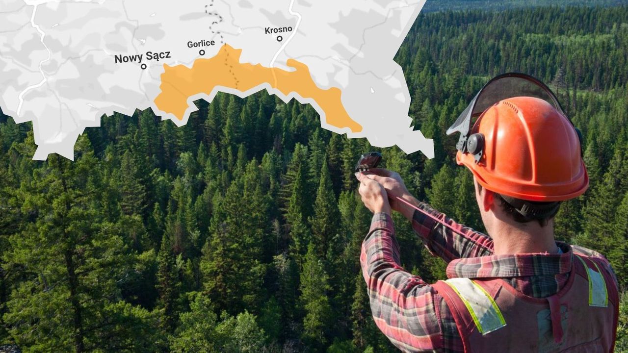 "Piąty rozbiór Polski"