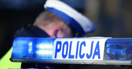 Są wyniki sekcji zwłok dziewczynki pogryzionej przez psa