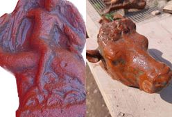 Eros na delfinie. Niezwykłe odkrycie we Włoszech