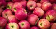 Ministerstwo zamówiło ponad 80 tys. jabłek. Oto dlaczego
