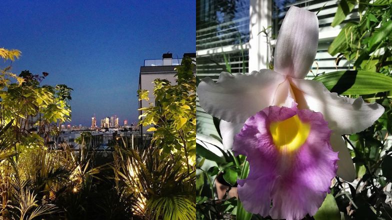 Taras Marcina Tyszki