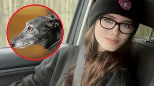 19-latka zagryziona przez psa. Wiadomo, co wykazała sekcja zwłok