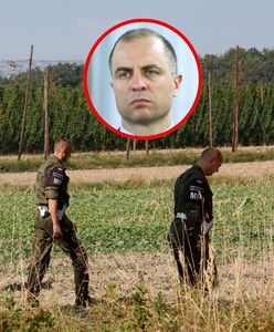 Nie tylko defensywa. Ekspert o reakcji na rosyjskie prowokacje