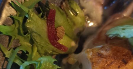 Zamówił sałatkę, w której znalazł jaja robaka. Restauracja: „Taka sytuacja nie powinna mieć miejsca”