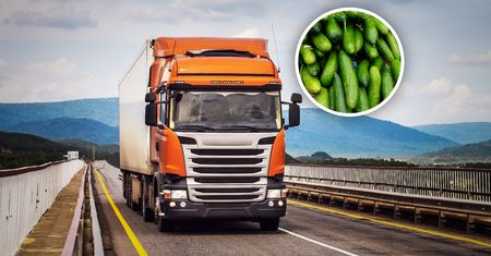 Transport z Rosji zatrzymany. Oto co miało trafić na sprzedaż w Polsce