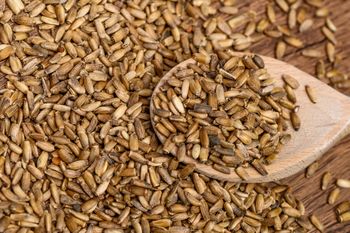 Jest w każdym sklepie, ale większość omija. Potężne wsparcie dla wątroby