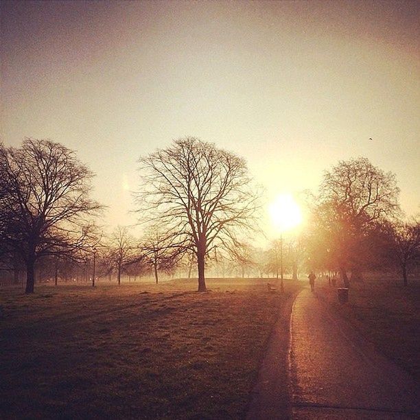 Zobaczcie jakie zdjęcia można zrobić smartfonem. Galeria nagrodzonych prac 2