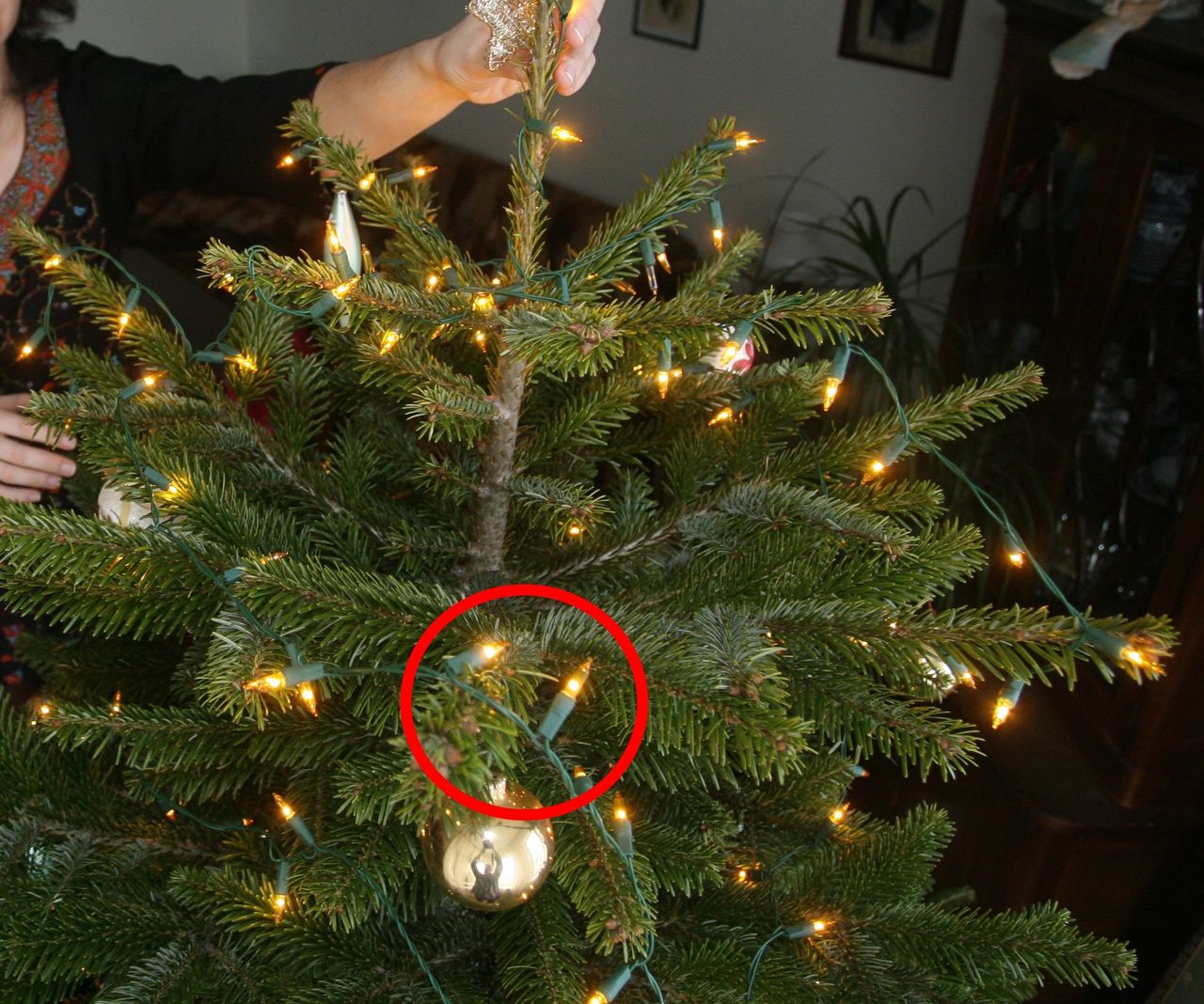 The hidden function of Christmas lights: A trick few people know about