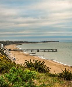 Tajemniczy wypadek w Anglii. Nie żyje dwójka dzieci