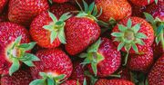 Kontrola truskawek. O tym nie wszyscy sprzedawcy informują kupujących