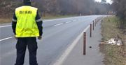 Potrącił dzikie zwierzę i odjechał. Taki zapłaci mandat