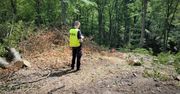 Koszmarny wypadek w lesie. Mężczyzna nie żyje