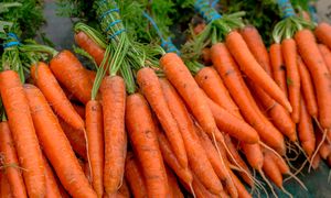 Wysłali marchew do Polski, zarobili ponad 159 mln zł. Skąd pochodzi?