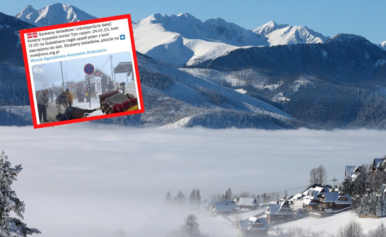 Zakopane. Incydent na Gubałówce