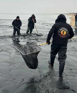 Zabójczy połów bursztynów. "Morze to żywioł, zabiera do siebie"