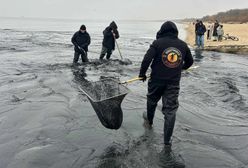 Zabójczy połów bursztynów. "Morze to żywioł, zabiera do siebie"