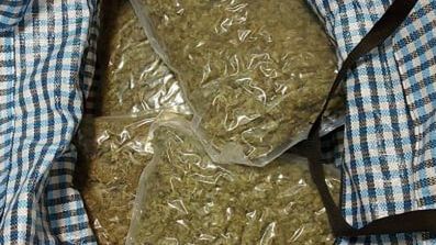 Warszawa. Zabezpieczona marihuana
