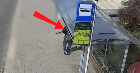 Przyłapany na przystanku. Aż brakuje słów. Nagranie trafiło do sieci