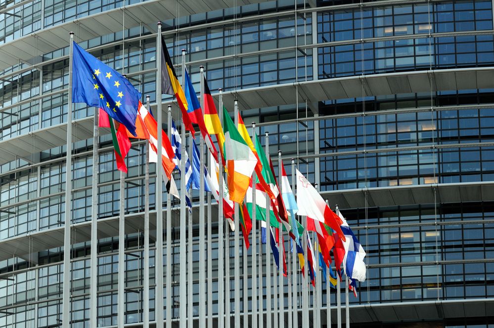 Zdjęcie flag państw unijnych pochodzi z serwisu Shutterstock