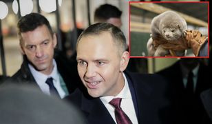 Nieoczywiste oceny weta i podpisu prezydenta. Pierwsza taka sytuacja w kadencji Nawrockiego