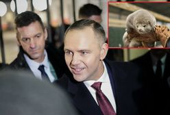 Nieoczywiste oceny weta i podpisu prezydenta. Pierwsza taka sytuacja w kadencji Nawrockiego