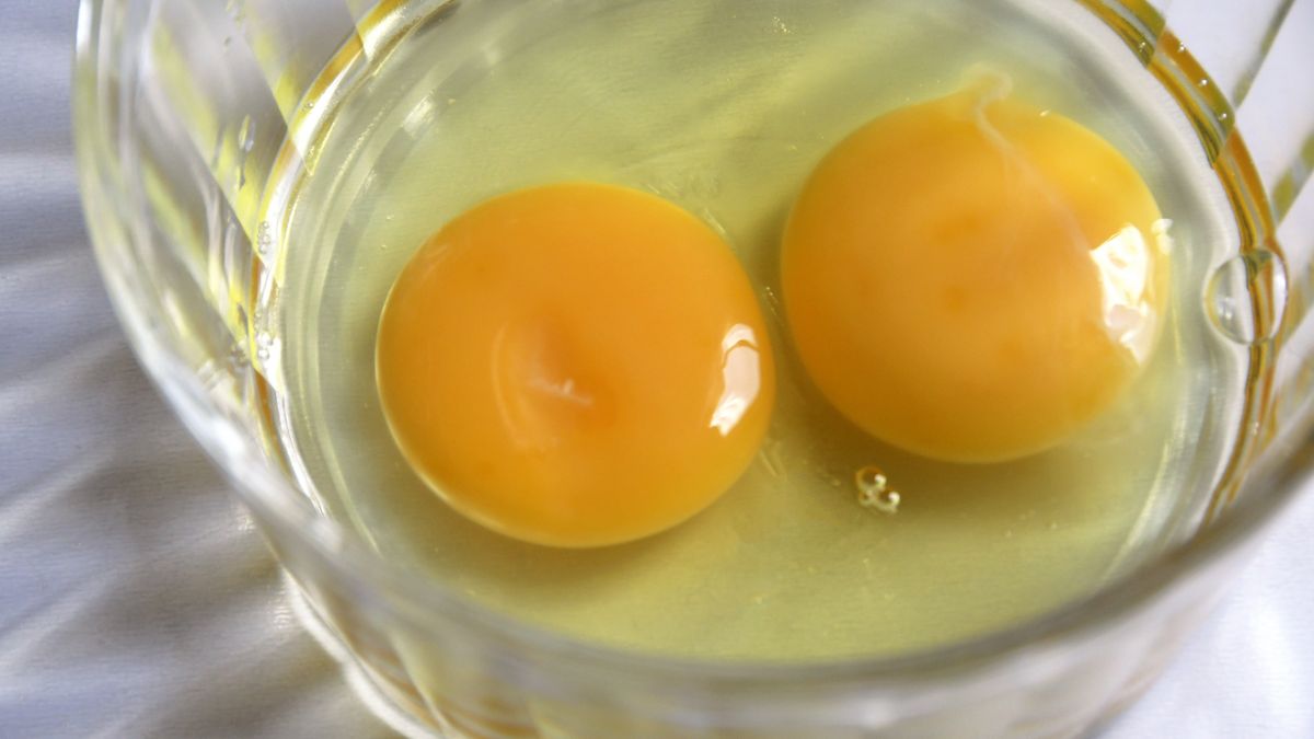 Jak rozpoznać najzdrowsze jajka?