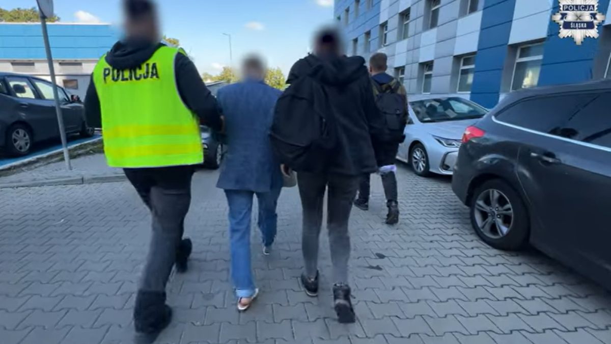 Sześć osób zatrzymanych za udział w mafii śmieciowej