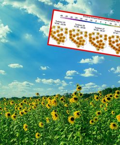 Nowa prognoza na lato. Synoptycy pokazali mapy