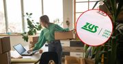 Niepokój wśród przedsiębiorców. ZUS zalany wnioskami