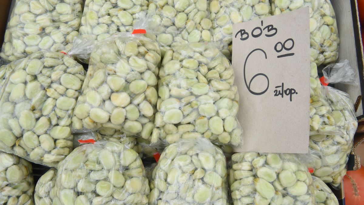 kto nie powinien jeść bobu?