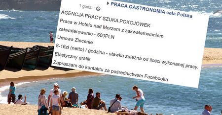 Praca na wakacje dla pokojówki. 8 zł za godzinę minus zakwaterowanie. "Wstydu nie macie"