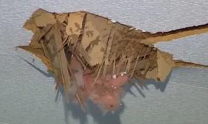 Bryła lodu przebiła dach domu w Kalifornii. Wylądowała na kanapie