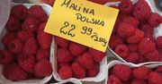 Prawie 100 zł za kilogram malin w sklepie. Ceny oszalały. Powód jest jeden