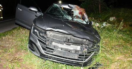 Zderzenie z łosiem pod Sochocinem. 44-letni kierowca trafił do szpitala!
