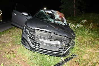 Zderzenie z łosiem pod Sochocinem. 44-letni kierowca trafił do szpitala!
