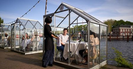 Klienci będą jadać w szklarniach. Innowacyjny pomysł restauracji