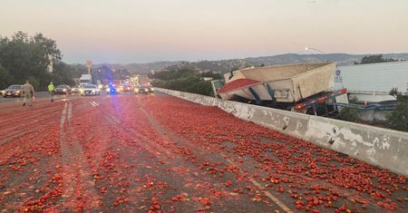 Prawie 300 tys. pomidorów rozsypało się po kalifornijskiej autostradzie, powodując karambol