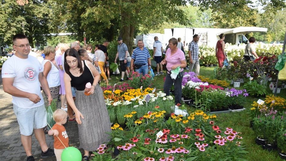 Wystawa Rolno-Przemysłowa w Zduńskiej Woli już 24 sierpnia. Będzie wiele atrakcji