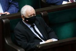 Kaczyński o polexicie. Zdecydowana reakcja posłanki. Dziennikarz pod wrażeniem