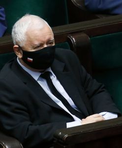 Kaczyński o polexicie. Zdecydowana reakcja posłanki. Dziennikarz pod wrażeniem