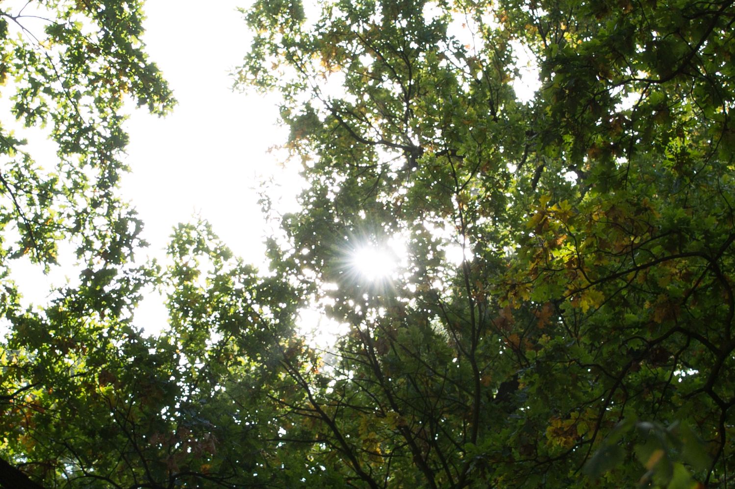 Tamron SP 35 mm f/1.8 Di VC USD - na rynku dzieje się coraz ciekawiej [recenzja] 22